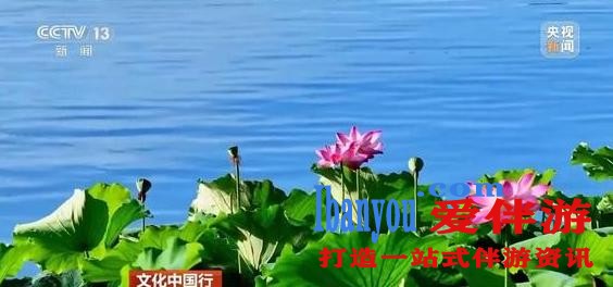 bd4f8e34-37ce-450b-a3f3-5fe44bf23f2b.jpg